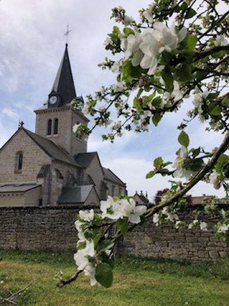 Vue de l'église de Pouillenay au printemps
