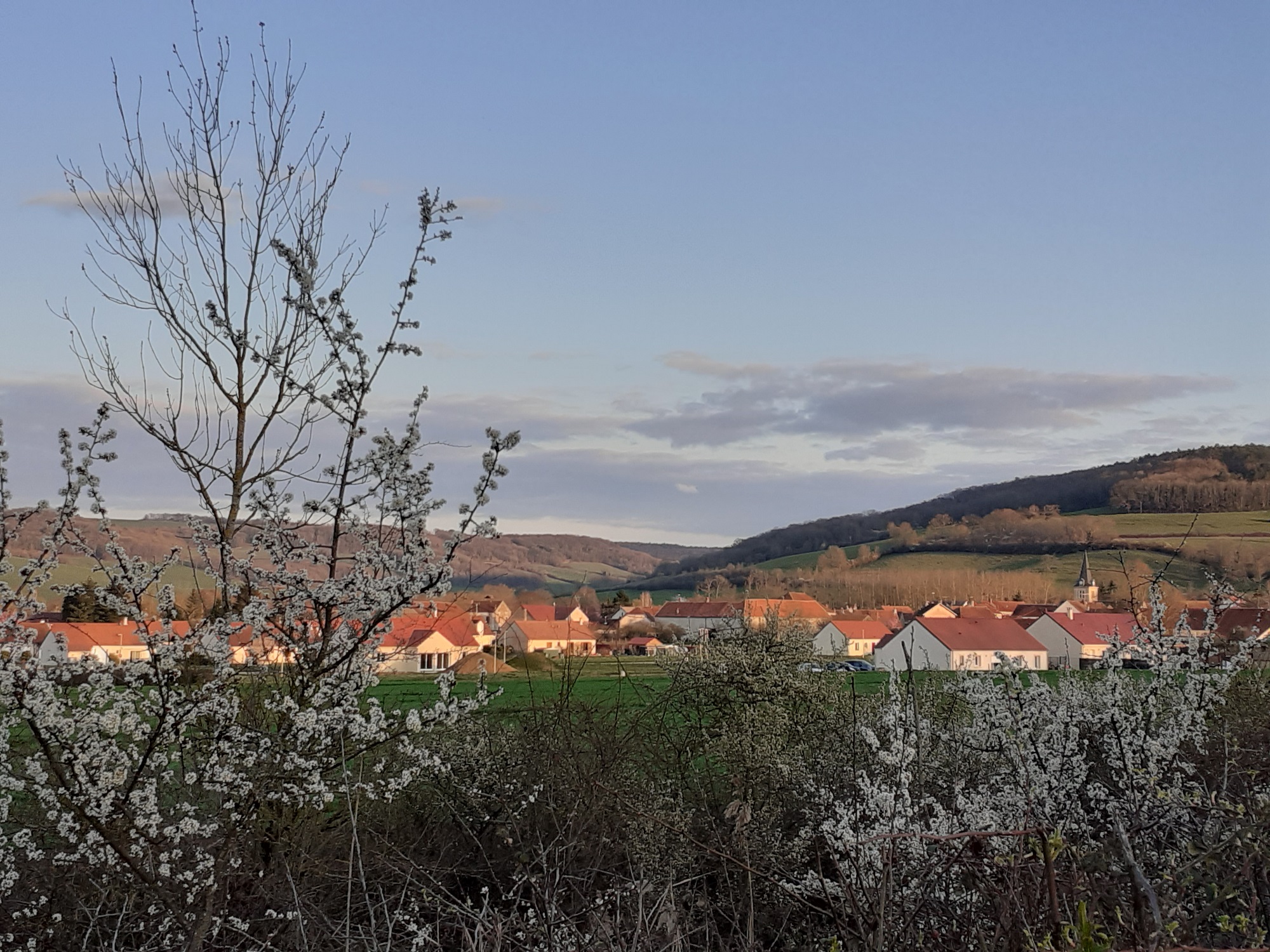 Vue du lotissement