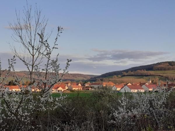 vue du lotissement a Pouillenay