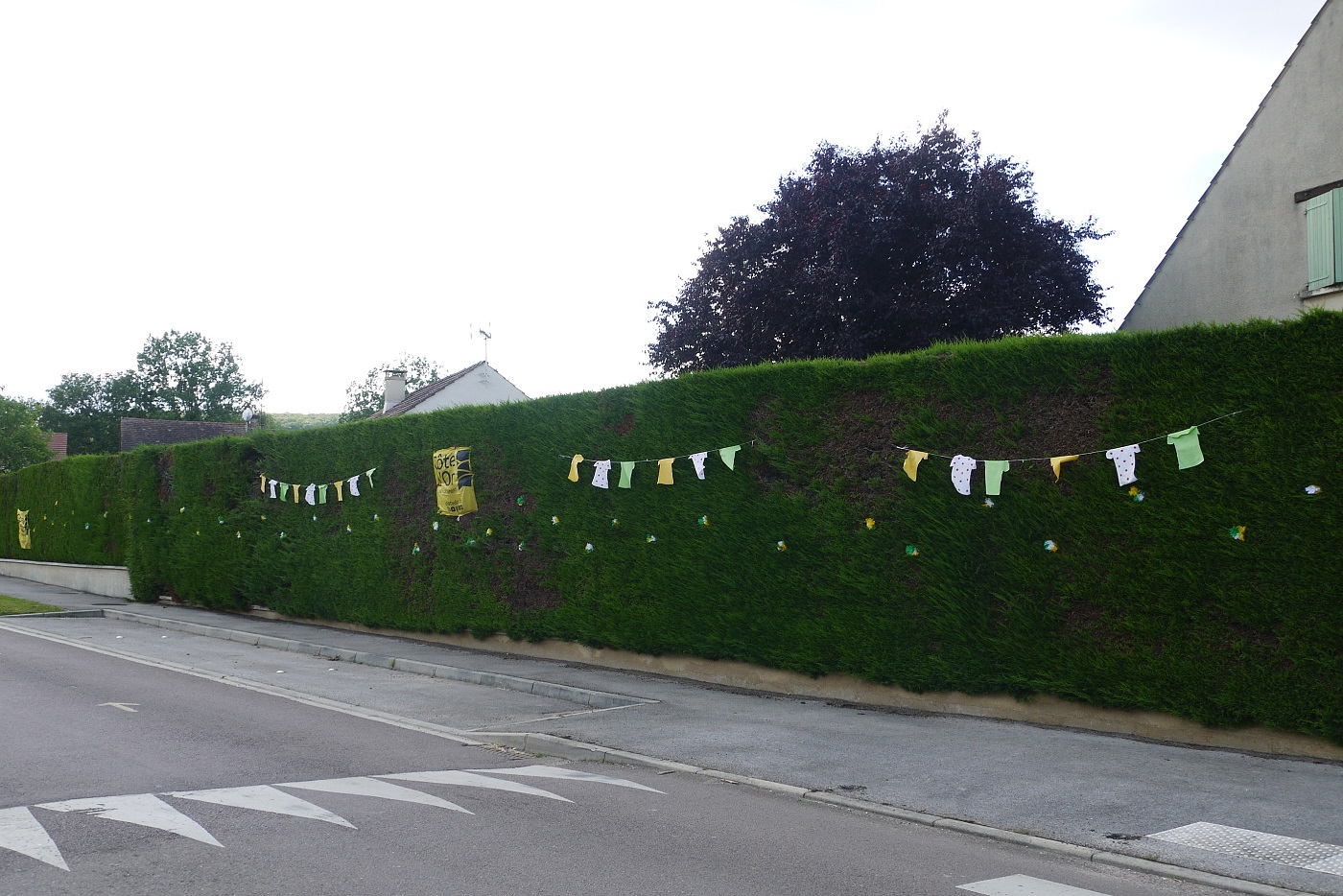 fleurs papier